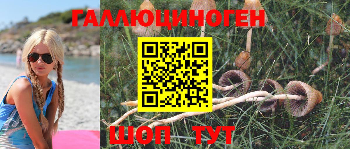 Псилоцибиновые грибы мухоморы Алушта